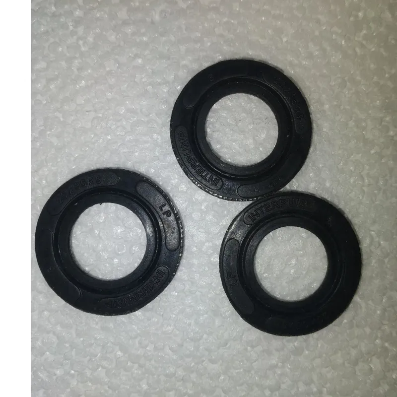 پکینگ پمپ کارواش