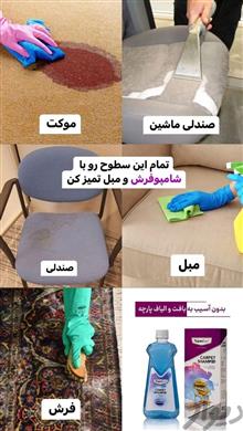 شامپوفرش
