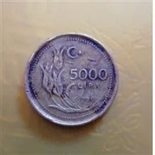 5000