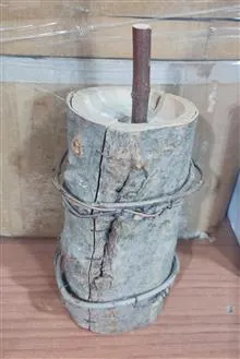 تلم