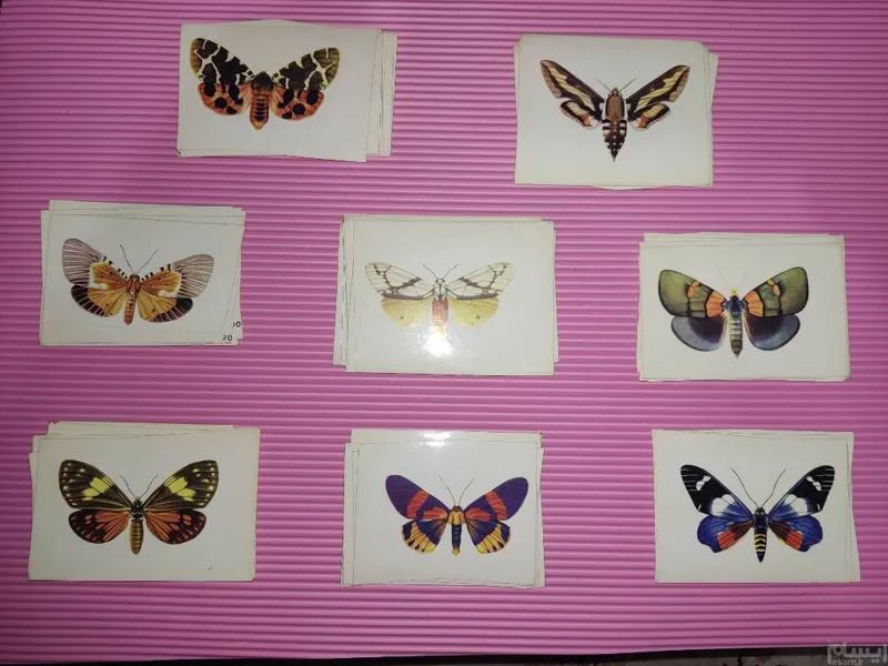 مجموعه 8 عدد برچسب قدیمی طرح پروانه