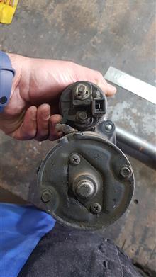 استارد