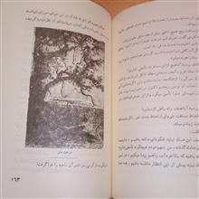 پنج