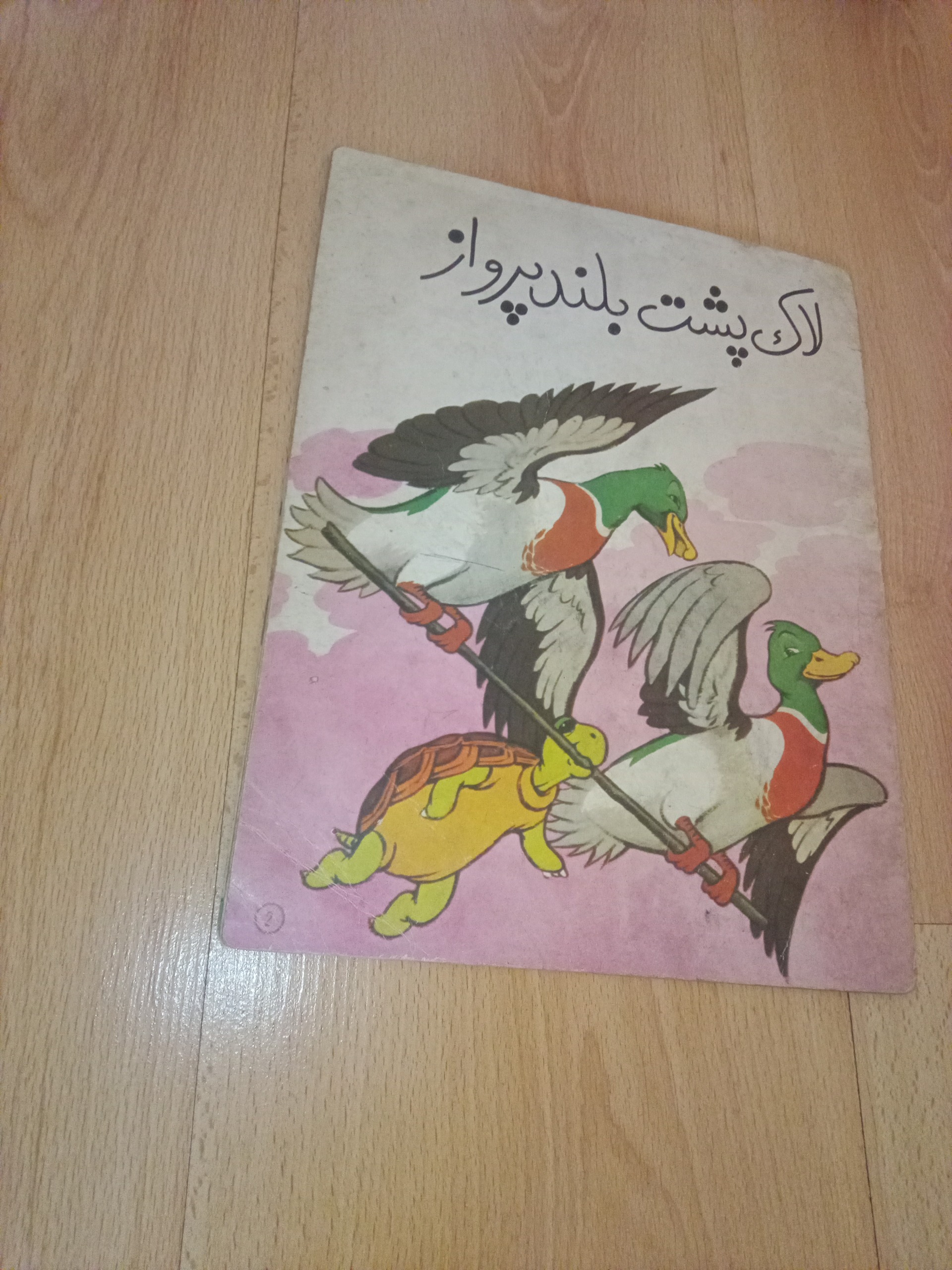 لاک پشت بلند پرواز - دادجو - 61