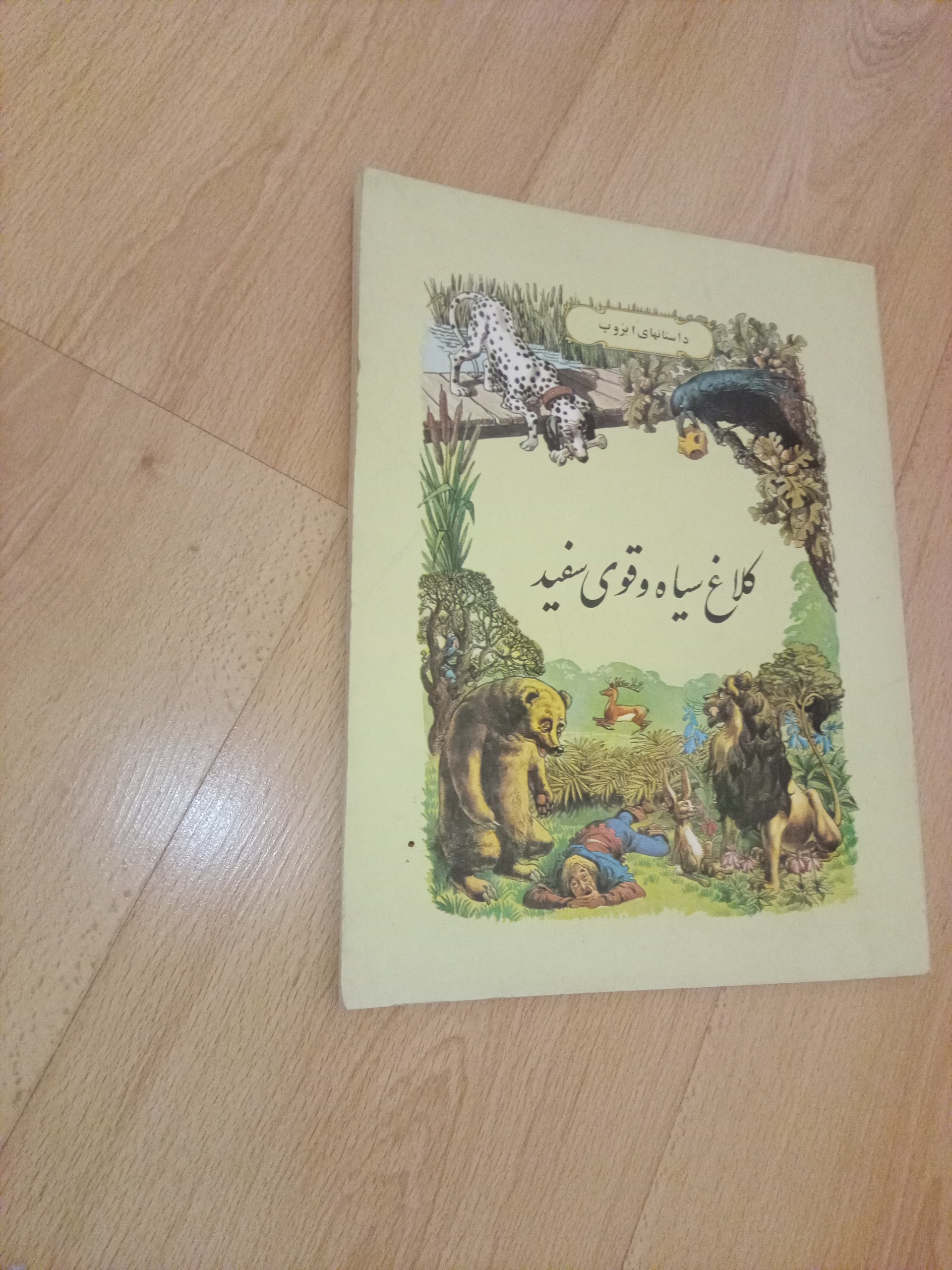 کلاغ سیاه و قوی سفید - ایزوپ - شهلا انسانی