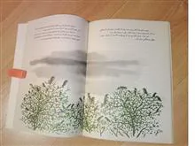 کلاغ