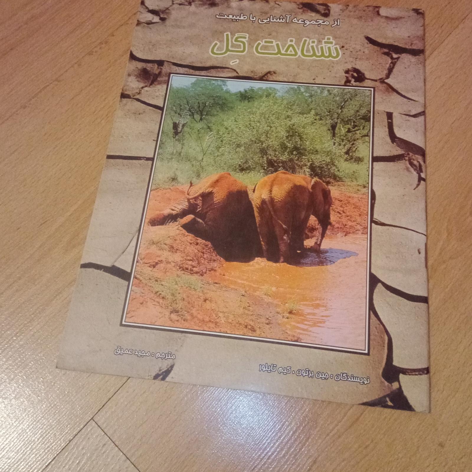 شناخت گل فول گلاسه رنگی 1385