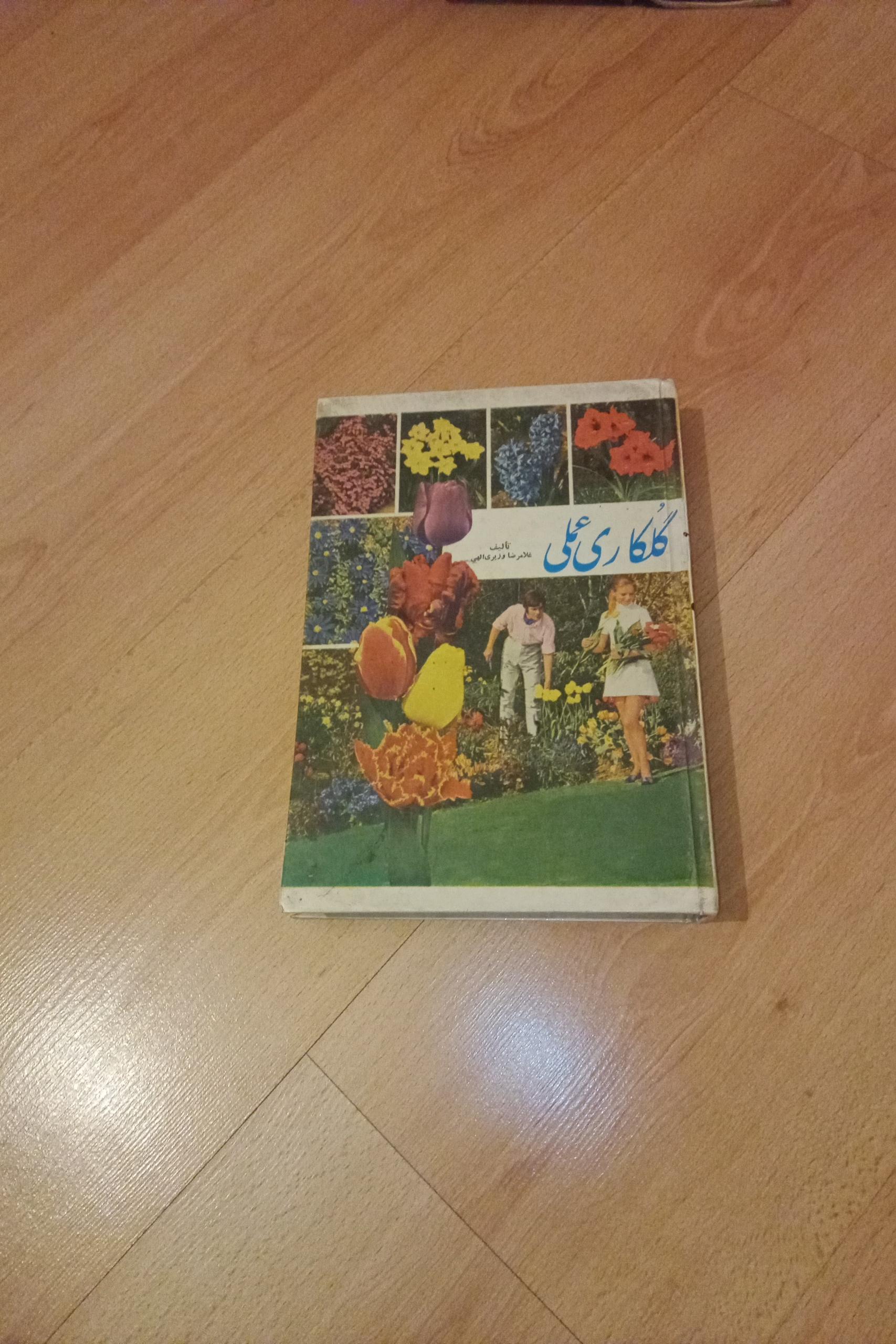 گلکاری عملی / 1351 / گالینگور / ابن سینا