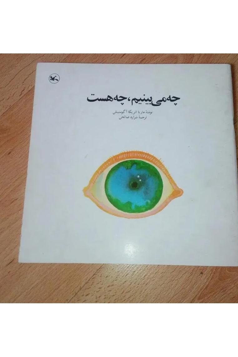 چه می بینیم چه هست / ماریا انریکا آگوستینلی / 1362