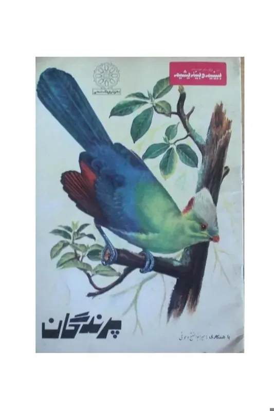 پرندگان . 1353