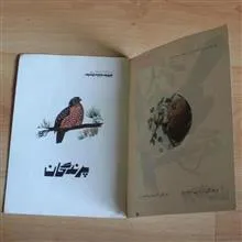 پرندگان