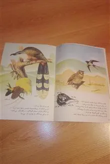 پرندگان