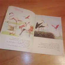 پرندگان