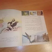 پرندگان