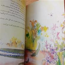 تمساح