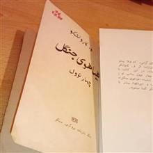 هیاهوی