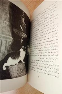 کمال