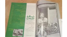 شکار