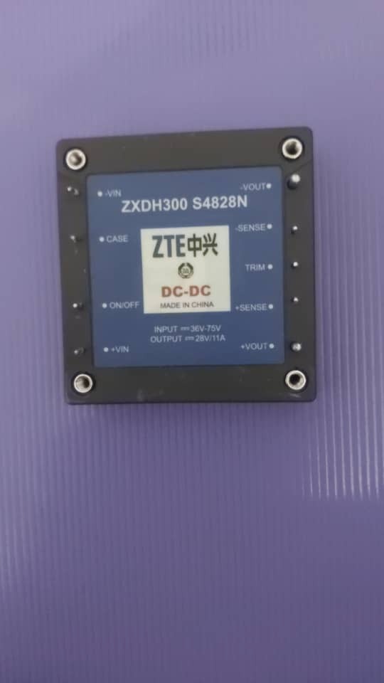 ZXDH300  S4828N