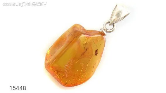 مدال کهربا حشره ای کد 15448