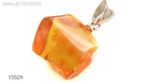 مدال کهربا حشره ای کد 15529