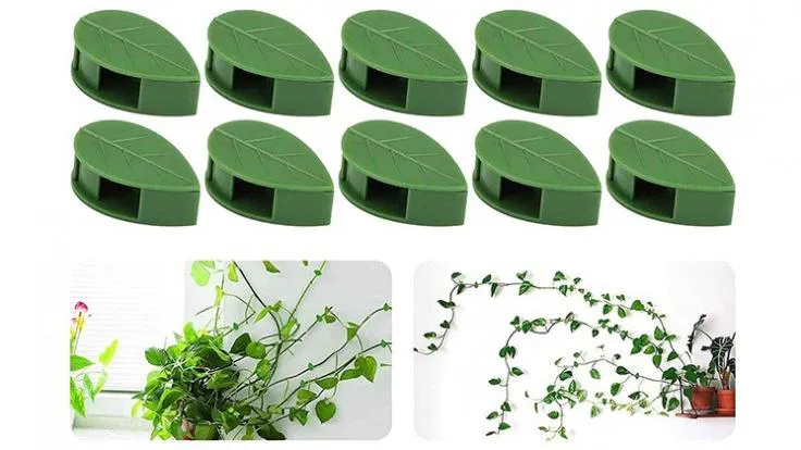 گیره نگهدارنده گل و گیاه بسته 10 عددی