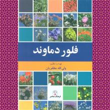فلور
