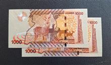 جفت