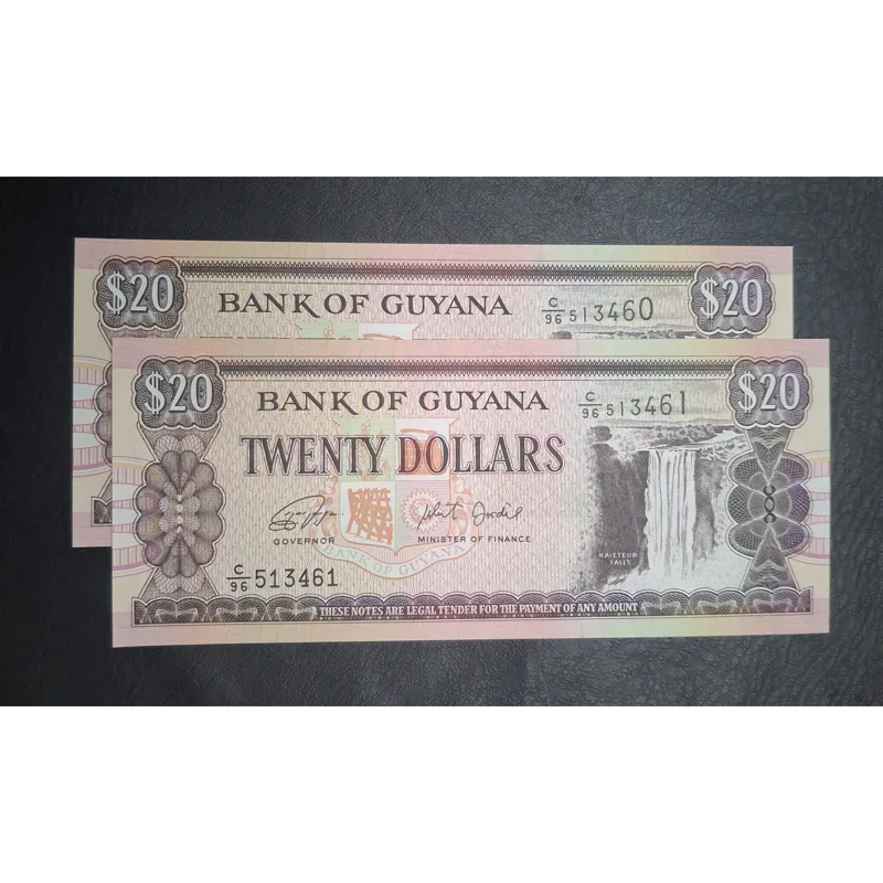 جفت بانکی 20 دلار گویان