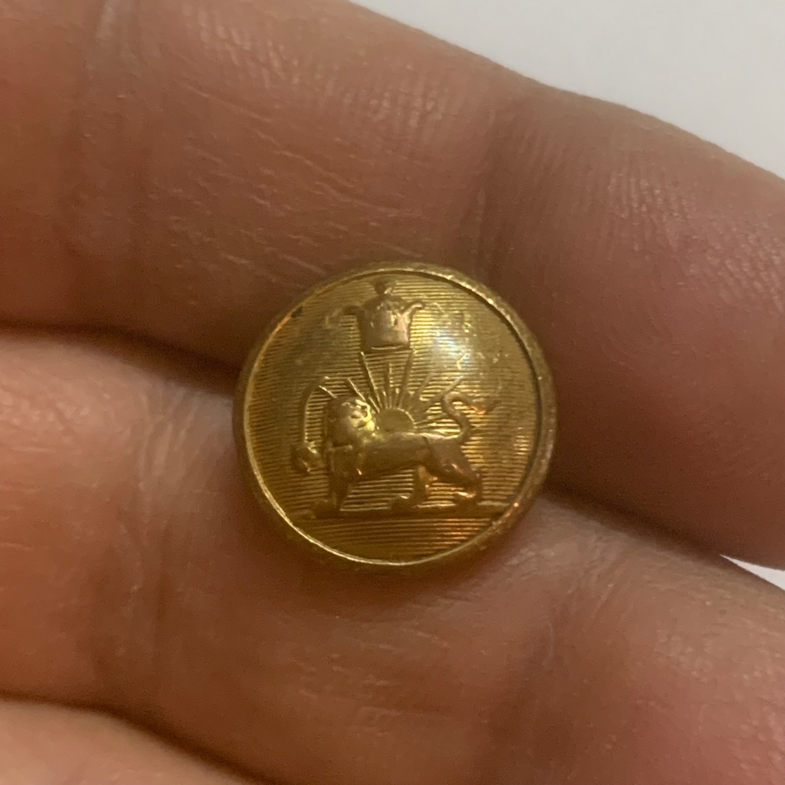 دکمه شیر و خورشید