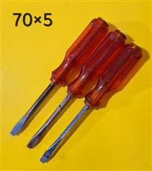 پیچگوشتی