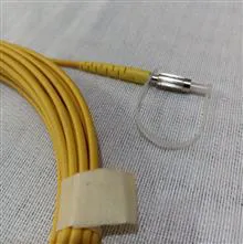 پیگتل