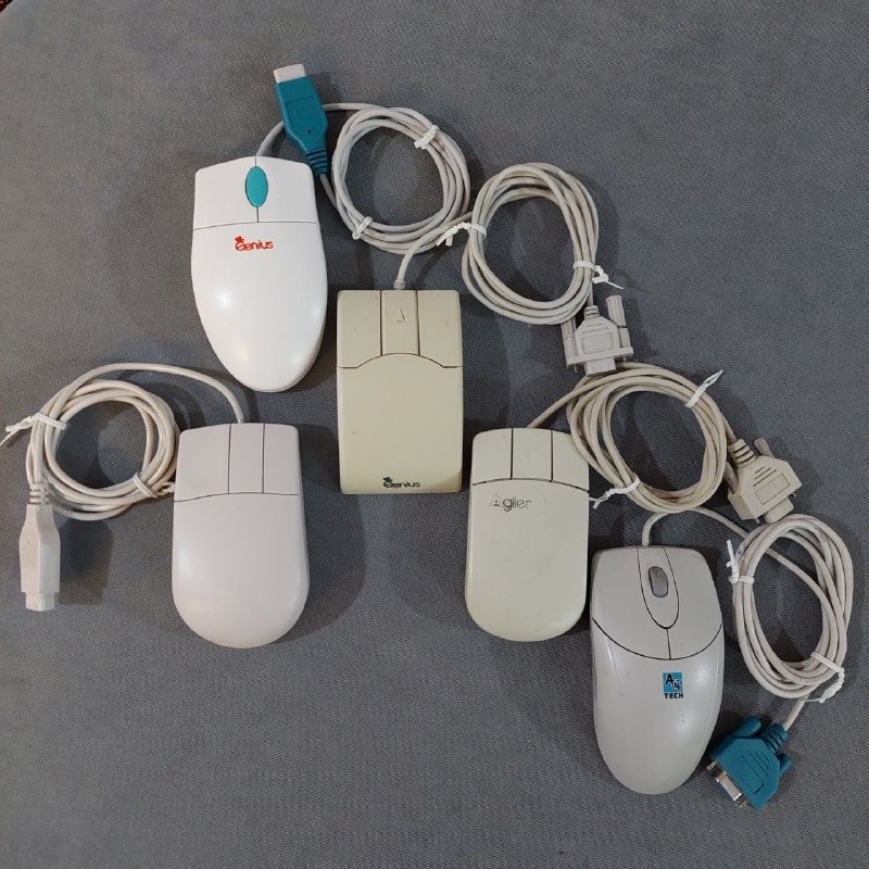 موس (موس قدیمی ردیف E24.9)