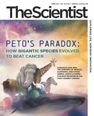 The Scientist Spring 2025