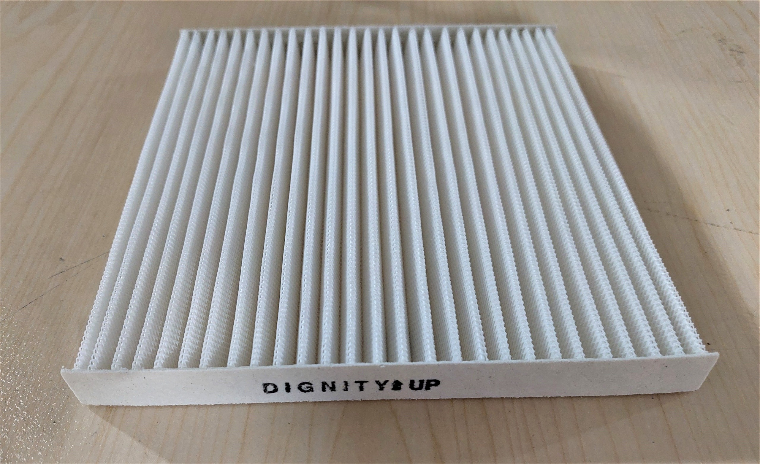 فیلتر هوای کابین دیگنیتی Dignity (10 عدد)