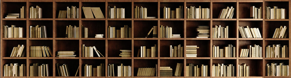 کتاب و اسکناس بابک زمین