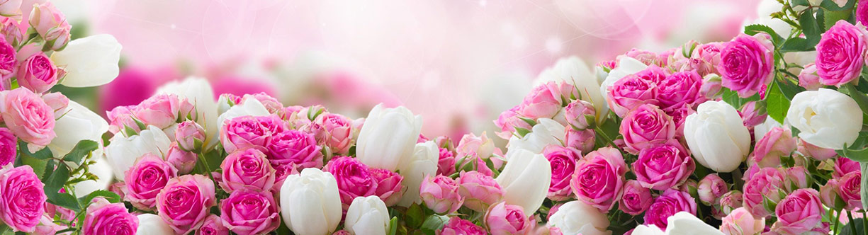 حیات بخش
