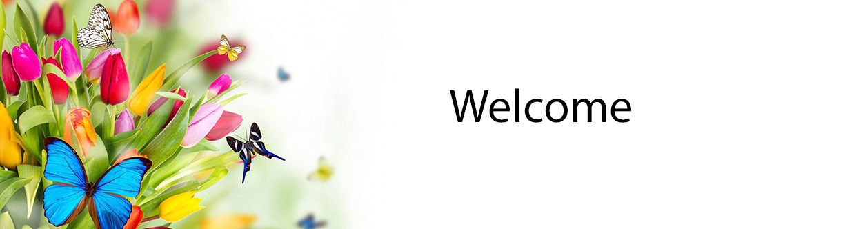 صداا شاپ